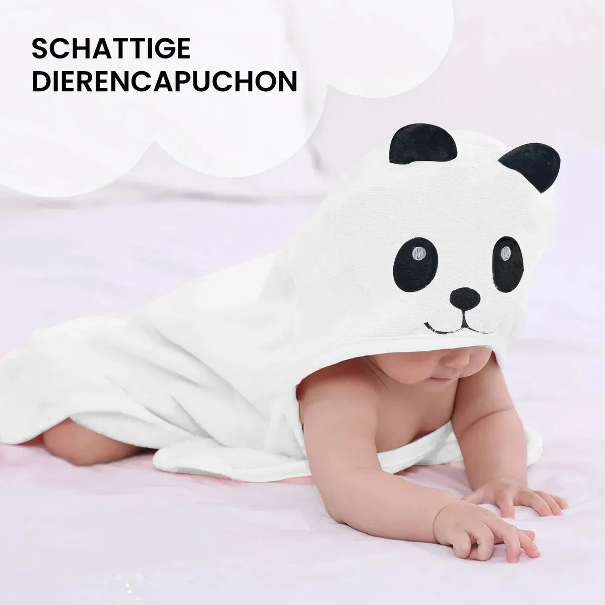Vorschaubild 6