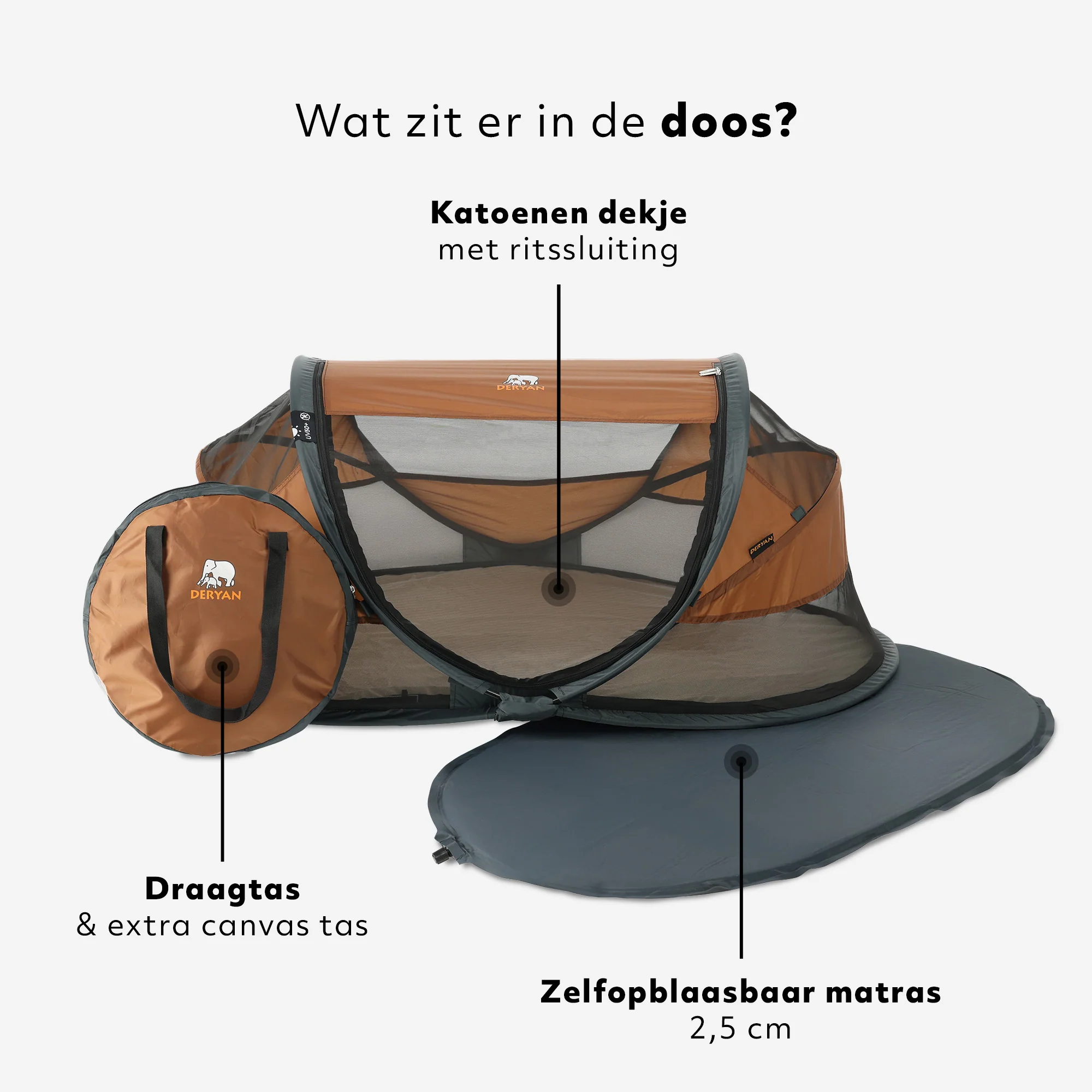 Vorschaubild 10